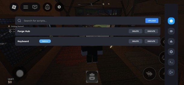 Execute the Forge Script